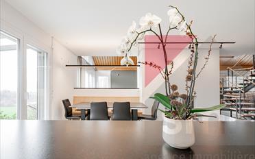Villa 9 Zimmer - image - 6
