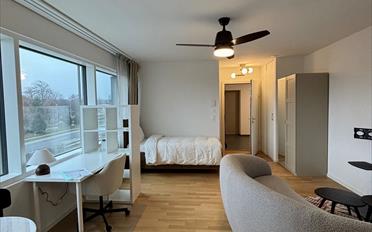 Wohnung ein Zimmer - image - 1