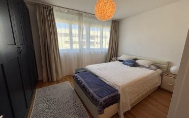 Wohnung 2.5 Zimmer - image - 4