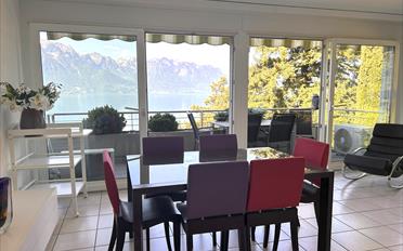 Wohnung 2.5 Zimmer - image - 3