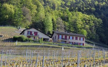 Maison - image - 3