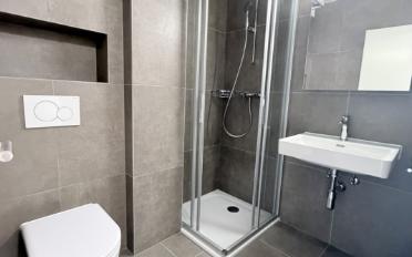 Attic flat 4.5 rooms - image - 6