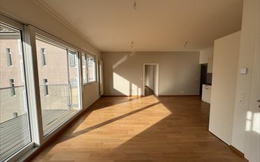 Wohnung 2.5 Zimmer - image - 3