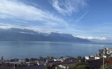 Wohnung 3.5 Zimmer - image - 1