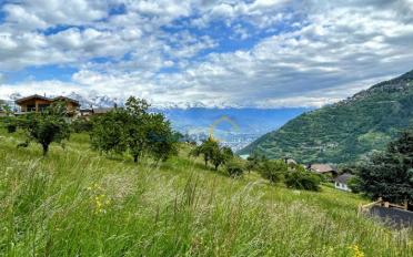 Villa 6.5 pièces - image - 5