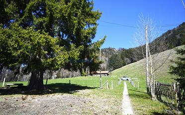 Chalet 15 pièces - image - 4