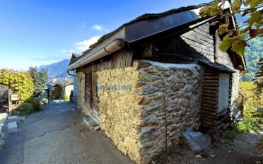 Villa 2.5 pièces - image - 3