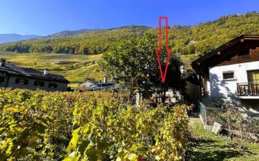 Villa 2.5 pièces - image - 7