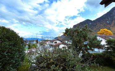 Maison contiguë 2.5 pièces - image - 4