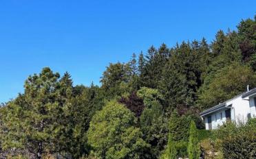 Row house 4.5 rooms - image - 13