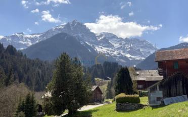 Chalet 8.5 rooms - image - 2