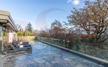 Terrace flat 9 rooms - image - 12