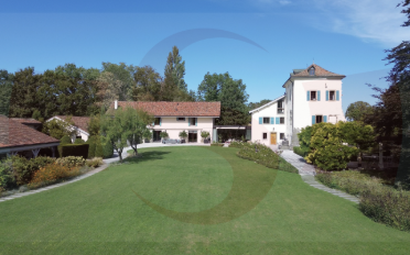 Schloss 20 Zimmer - image - 2