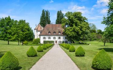 Schloss 16 Zimmer - image - 12