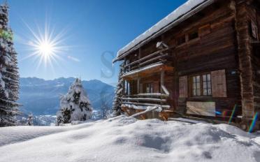 Chalet 6 Zimmer - image - 2