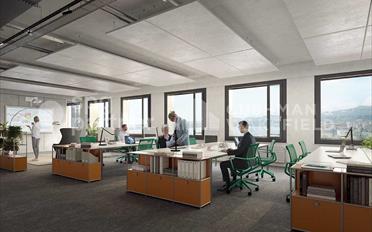 Büro - image - 11