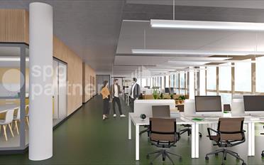 Commercial - image - 7