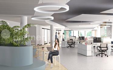 Office - image - 4