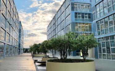 Office - image - 1