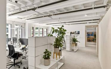 Office 3 rooms - image - 7