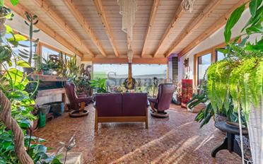 Einfamilienhaus 6.5 Zimmer - image - 6