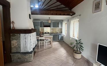 Wohnung 1.5 Zimmer - image - 2