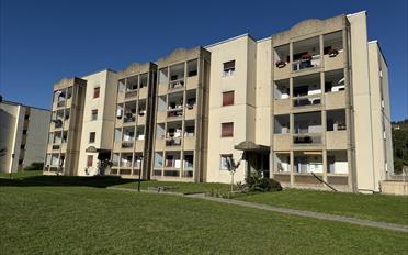 Attique 4.5 pièces - image - 1