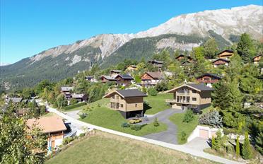 Chalet 6.5 rooms - image - 2