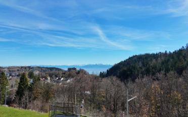 Appartement 5.5 pièces - image - 1