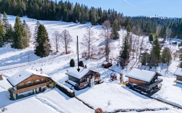 Chalet 3.5 pièces - image - 2