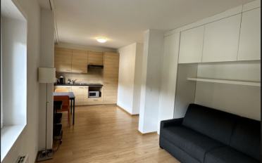 Apartment 1.5 rooms - image - 10