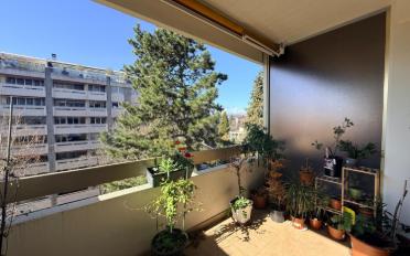 Wohnung 4 Zimmer - image - 1