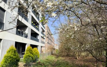 Wohnung 4 Zimmer - image - 1