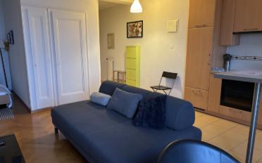 Furnished flat 1.5 rooms - image - 5