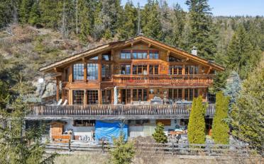 Chalet 10 pièces - image - 1
