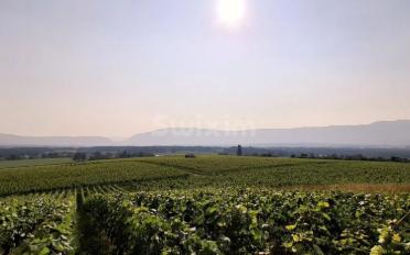 Maison 12 pièces - image - 1