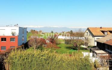 Wohnung 5 Zimmer - image - 1
