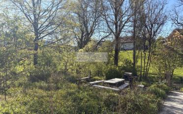 Duplex 3.5 Zimmer - image - 13