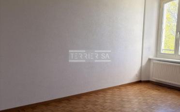 Duplex 3.5 Zimmer - image - 7