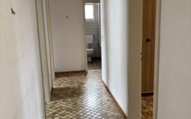 Wohnung 4.5 Zimmer - image - 4