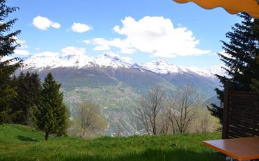 Appartement terrasse 2 pièces - image - 4