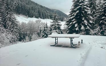 Chalet 6.5 Zimmer - image - 2