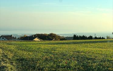 Villa - image - 2