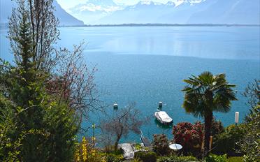 Villa - image - 3