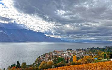 Villa - image - 4