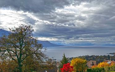 Villa - image - 3