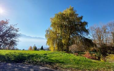 Villa 7 Zimmer - image - 3