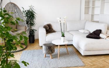 Appartement 3.5 pièces - image - 3