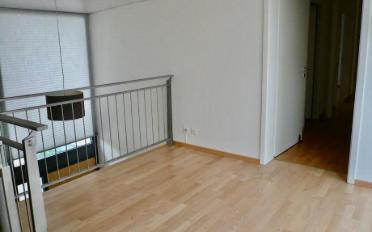 Duplex 4 rooms - image - 7
