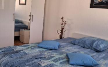 Wohnung 2.5 Zimmer - image - 9